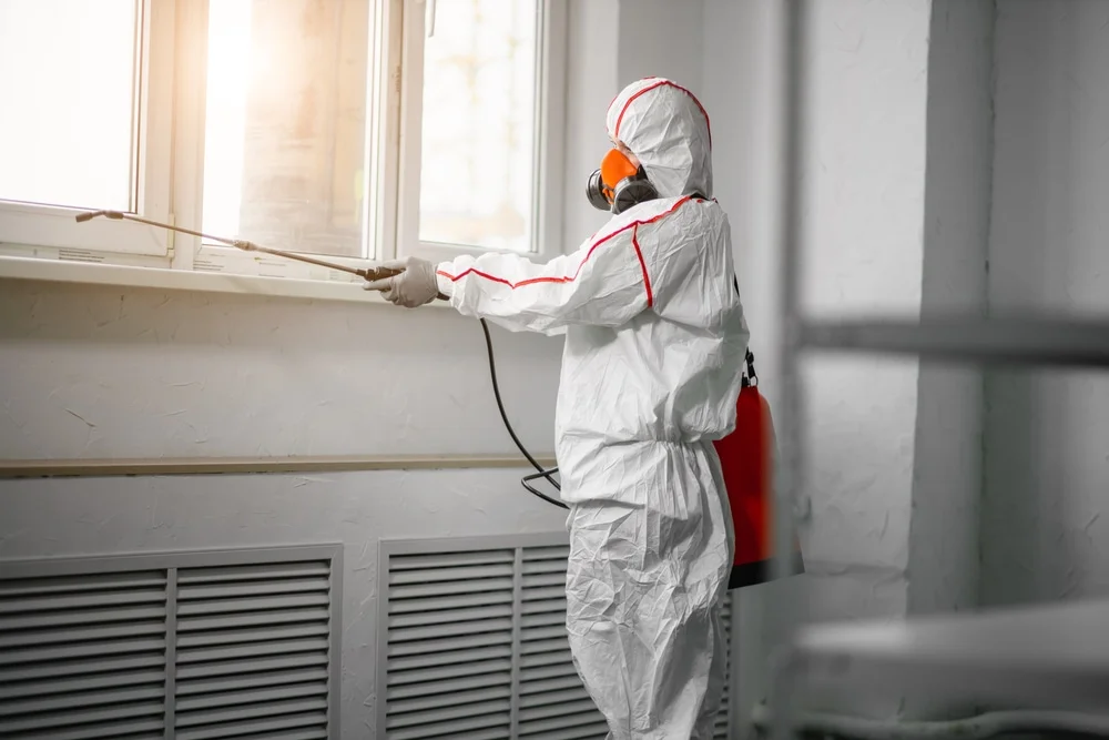 Professional mold remediation services in Byron Center, MI